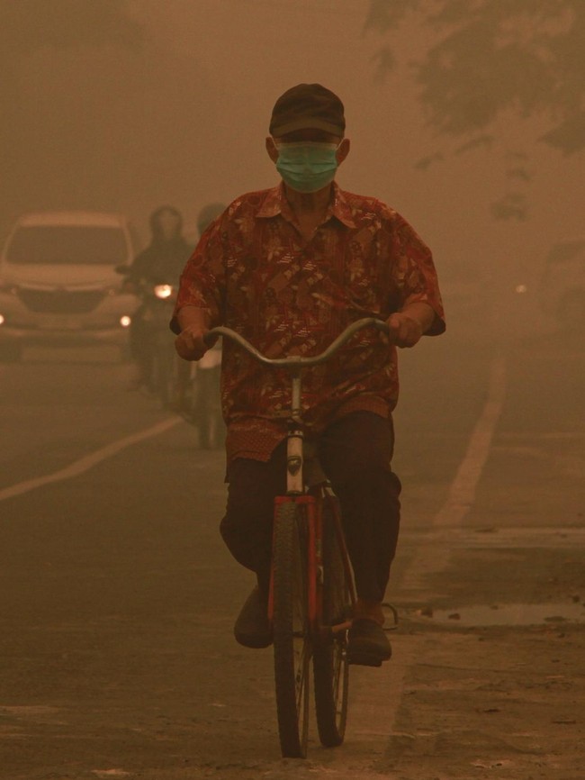 Kabut Asap Karhutla Selimuti Palangka Raya, Jarak Pandang Terbatas