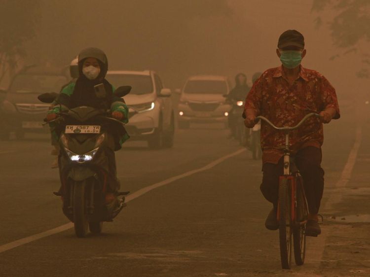 Kabut Asap Karhutla Selimuti Palangka Raya, Jarak Pandang Terbatas