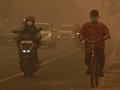 Kabut Asap Karhutla Menipis Usai Hujan, Begini Cara Alam Membersihkan Udara