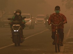 Kabut Asap Karhutla Menipis Usai Hujan, Begini Cara Alam Membersihkan Udara