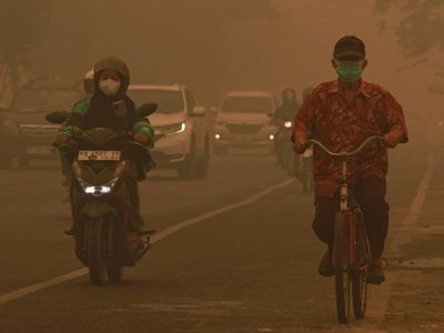 Kabut Asap Karhutla Selimuti Palangka Raya, Jarak Pandang Terbatas