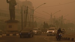 Pria di Palangka Raya Galang Dana Karhutla hingga Rp 8 Juta, Ternyata Penipu