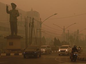 Pria di Palangka Raya Galang Dana Karhutla hingga Rp 8 Juta, Ternyata Penipu