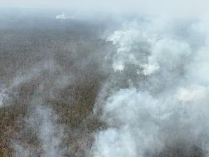 BNPB Kerahkan Heli Water Bombing Padamkan Karhutla Way Kambas Lampung