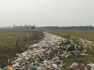 2 Ton Sampah Kiriman Banjiri Sawah Warga di Wonomulyo Polman