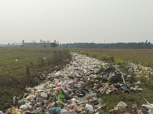 2 Ton Sampah Kiriman Banjiri Sawah Warga di Wonomulyo Polman