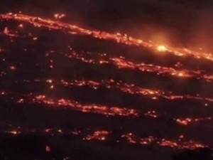 664 Hektare Eks Konsesi di Lamandau Terbakar, Sarana Pemadaman Jadi Sorotan