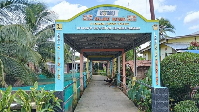 Melihat kampung ikan hias yang berada di Kecamatan Ilir Timur II Palembang