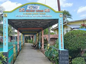 Kampung Ikan Hias Palembang Bertahan Hadapi Cuaca hingga Harga Pakan