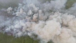 Kebakaran di TN Berbak Sembilang Jambi Meluas, Sumber Air Jadi Kendala