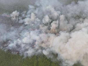Kebakaran di TN Berbak Sembilang Jambi Meluas, Sumber Air Jadi Kendala