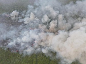 Kebakaran di TN Berbak Sembilang Jambi Meluas, Sumber Air Jadi Kendala