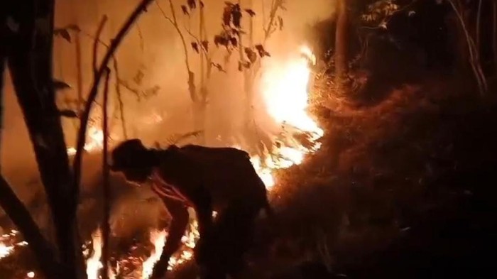 Petugas berjibaku memadamkan api di Gunung Ciremai