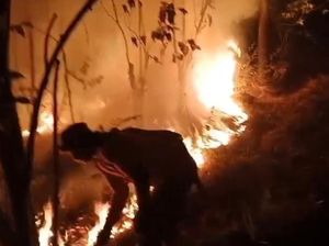 Kebakaran Gunung Ciremai, 10 Titik Api Masih Tersisa