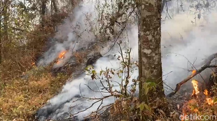 Salah satu titik kebakaran di lereng Gunung Arjuno wilayah Sumberbtantas, Kota Batu.