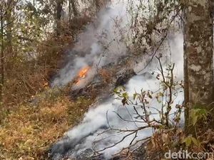 Kebakaran Gunung Arjuno-Welirang Hanya Menyisakan Titik Api di Kota Batu