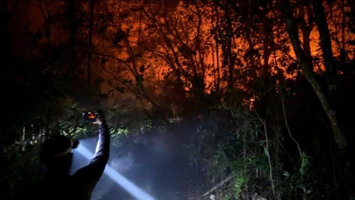 Api mendekati Pos Tanjung Harapan, Kawasan TN Tanjung Puting, Kobar. (dok YOHK)
