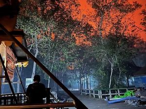 Tangani Karhutla Kawasan Tanjung Puting, Petugas Hadapi Angin Kencang