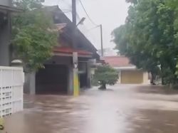 113 Rumah di Cibinong Terendam Banjir Akibat Tanggul Kali Sugu Tamu Jebol