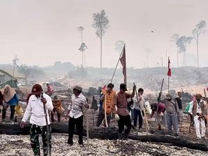Menugal, Warga Lamandau Tanam Padi Gogo di Lahan Bekas Karhutla