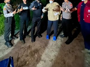 Polri Selamatkan Induk dan Bayi Orang Utan Terluka di Lokasi Karhutla Kotim