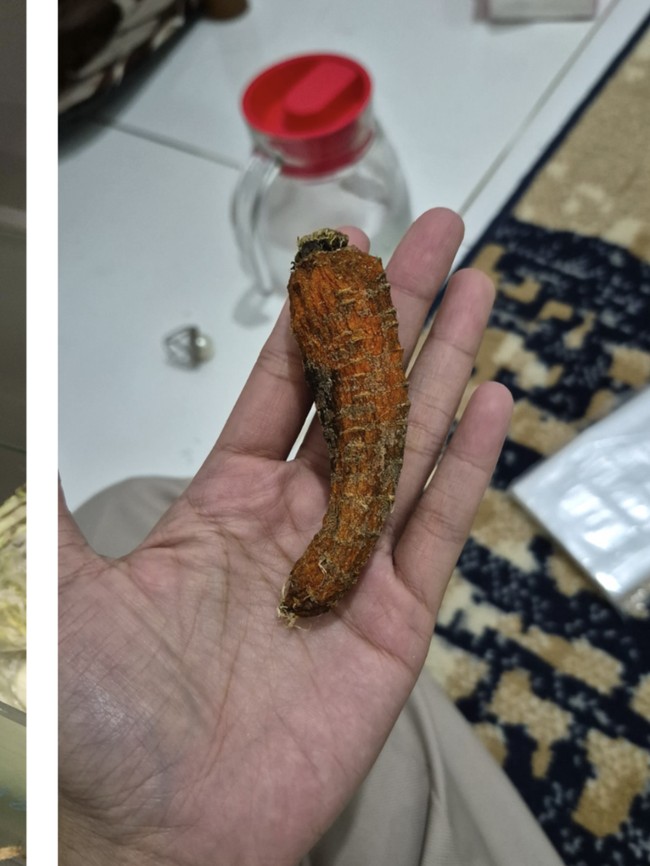 Netizen Spill Fosil di Kulkas: dari Bayam Kering hingga Wortel Jenglot!