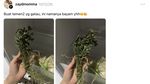 Netizen Spill Fosil di Kulkas: dari Bayam Kering hingga Wortel Jenglot!