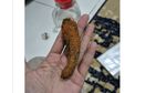 Netizen Spill Fosil di Kulkas: dari Bayam Kering hingga Wortel Jenglot!