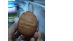 Netizen Spill Fosil di Kulkas: dari Bayam Kering hingga Wortel Jenglot!