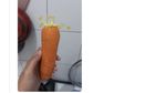 Netizen Spill Fosil di Kulkas: dari Bayam Kering hingga Wortel Jenglot!