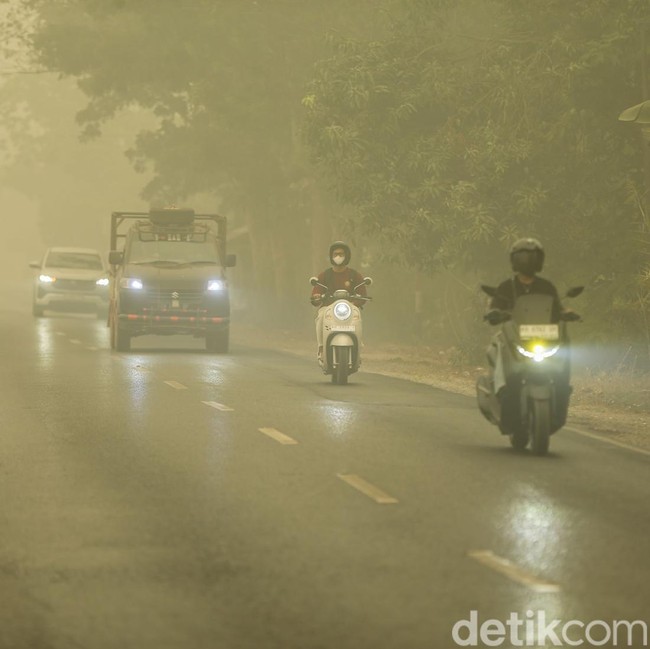 Kabut Asap Makin Pekat, Aktivitas Warga Kuala Kapuas Terganggu