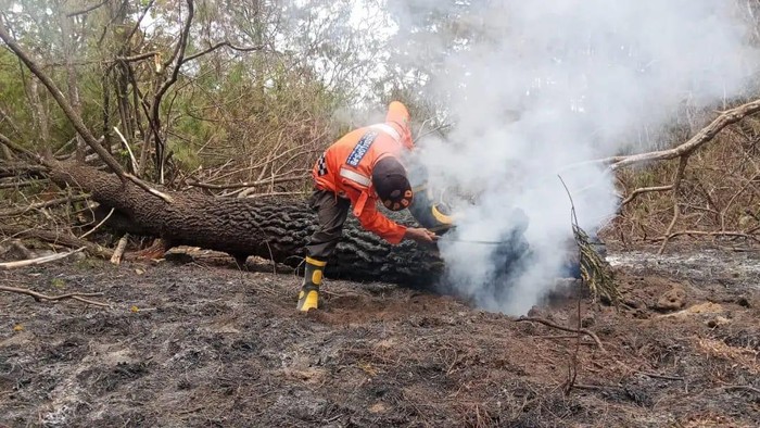 Kebakaran lahan dan hutan di Gunung Ciremai sudah padam