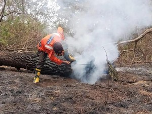 Update Karhutla Ciremai: Titik Api Sudah Padam, Asap Masih Dipantau