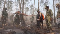 BNPB Usut Asal Api Karhutla di Taman Nasional Way Kambas