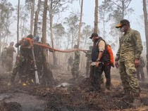 BNPB Usut Asal Api Karhutla di Taman Nasional Way Kambas