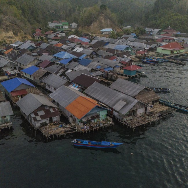 Mengintip Kehidupan Suku Bajo, Nelayan Tangguh dari Halmahera Selatan