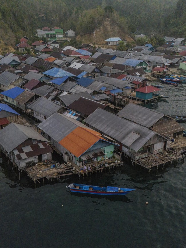 Mengintip Kehidupan Suku Bajo, Nelayan Tangguh dari Halmahera Selatan