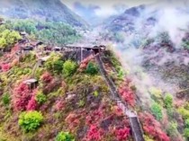 Video: Pemandangan Kalau Liburan ke Shaanxi China Pas Musim Gugur