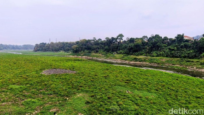 Kondisi  Sungai Citarum di BBS Batujajar yang mengering karena kemarau panjang.