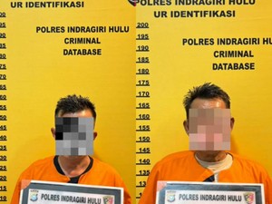 Polisi Tangkap 2 Perambah Hutan Konsesi di Inhu, Oknum Kades Terlibat