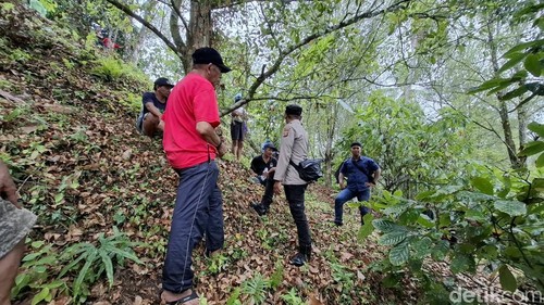 Tim gabungan mencari lansia yang dilaporkan hilang di Banjar Dinas Tegal Kontang, Desa Lumbung Kauh, Kecamatan Selemadeg Barat, Tabanan, Minggu (25/10/2026).