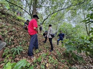 Lansia 70 Tahun Hilang di Tabanan, Pencarian Dilanjutkan Libatkan Tim SAR