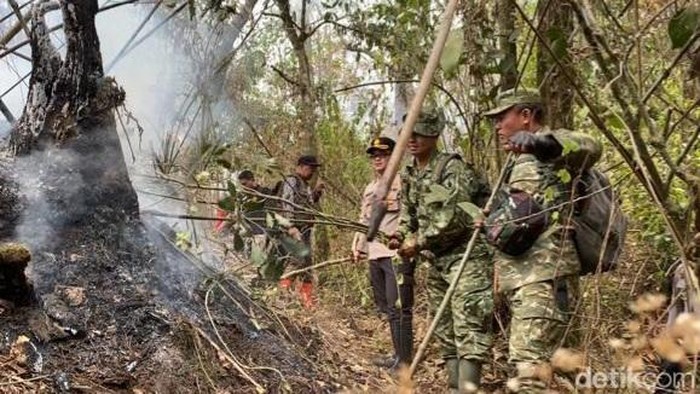 Tim gabungan saat melakukan pemadaman dan pengecekan sisa kebakaran di lereng Gunung Arjuno.