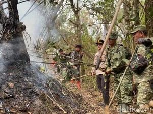Kebakaran Hutan Arjuno-Welirang Padam, Akses Pendakian Masih Ditutup
