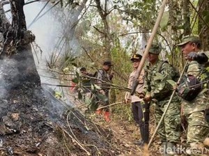 Kebakaran Hutan Arjuno-Welirang Padam, Akses Pendakian Masih Ditutup