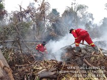 Diguyur Hujan, Gambut Terbakar di TN Berbak Sembilang Jambi Masih Berasap