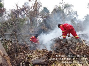 Diguyur Hujan, Gambut Terbakar di TN Berbak Sembilang Jambi Masih Berasap