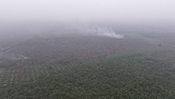 Hujan Turun di Wilayah Karhutla OKI, Muara Enim Masih Berasap