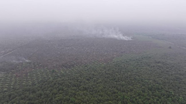Hujan Turun di Wilayah Karhutla OKI, Muara Enim Masih Berasap