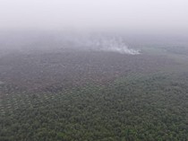 Hujan Turun di Wilayah Karhutla OKI, Muara Enim Masih Berasap